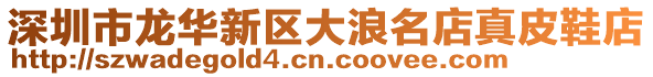 深圳市龍華新區(qū)大浪名店真皮鞋店
