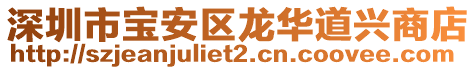 深圳市寶安區龍華道興商店
