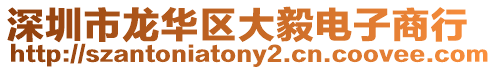 深圳市龍華區大毅電子商行