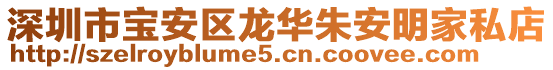 深圳市寶安區龍華朱安明家私店