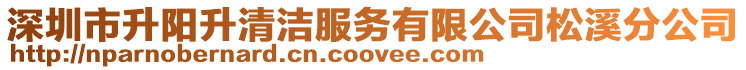 深圳市升陽升清潔服務有限公司松溪分公司