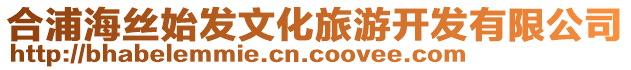 合浦海絲始發(fā)文化旅游開發(fā)有限公司