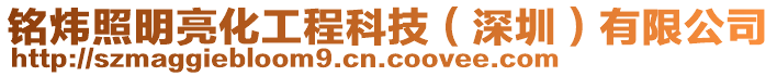 銘煒照明亮化工程科技(深圳)有限公司