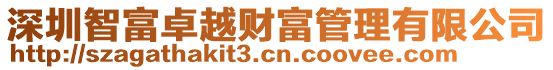 深圳智富卓越財富管理有限公司