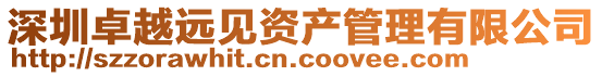 深圳卓越遠見資產管理有限公司