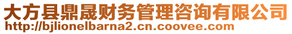 大方縣鼎晟財務管理咨詢有限公司