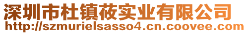 深圳市杜鎮莜實業有限公司