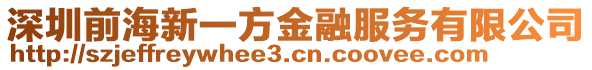 深圳前海新一方金融服務有限公司