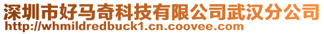 深圳市好馬奇科技有限公司武漢分公司