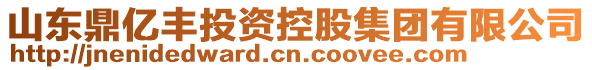 山東鼎億豐投資控股集團(tuán)有限公司