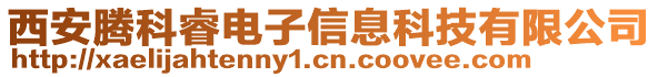 西安騰科睿電子信息科技有限公司