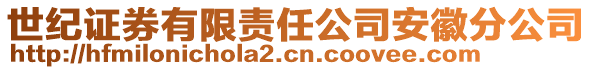 世紀(jì)證券有限責(zé)任公司安徽分公司