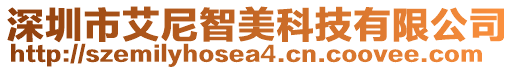 深圳市艾尼智美科技有限公司