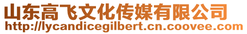 山東高飛文化傳媒有限公司