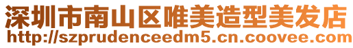 深圳市南山區(qū)唯美造型美發(fā)店