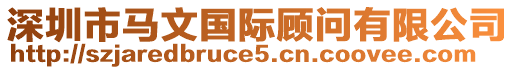 深圳市馬文國際顧問有限公司