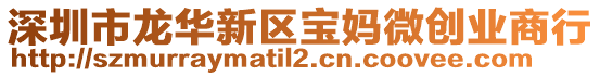 深圳市龍華新區(qū)寶媽微創(chuàng)業(yè)商行