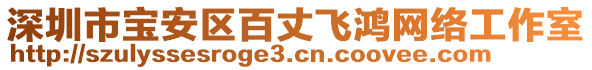 深圳市寶安區(qū)百丈飛鴻網(wǎng)絡(luò)工作室