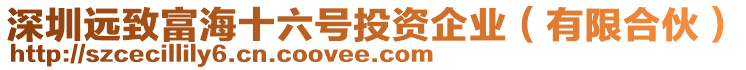 深圳遠(yuǎn)致富海十六號(hào)投資企業(yè)（有限合伙）