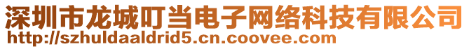 深圳市龍城叮當(dāng)電子網(wǎng)絡(luò)科技有限公司