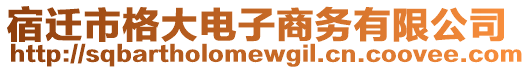 宿遷市格大電子商務(wù)有限公司