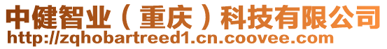 中健智業(yè)（重慶）科技有限公司