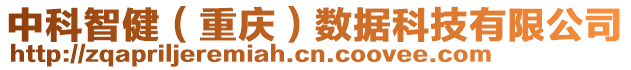 中科智?。ㄖ貞c）數(shù)據(jù)科技有限公司