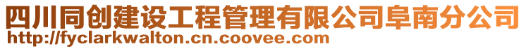 四川同創建設工程管理有限公司阜南分公司