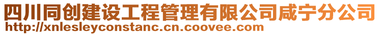 四川同創建設工程管理有限公司咸寧分公司
