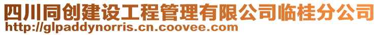 四川同創建設工程管理有限公司臨桂分公司