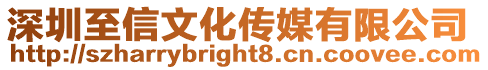 深圳至信文化傳媒有限公司