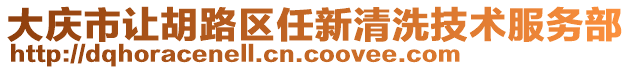 大慶市讓胡路區(qū)任新清洗技術(shù)服務(wù)部