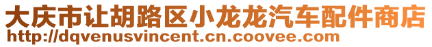 大慶市讓胡路區(qū)小龍龍汽車配件商店