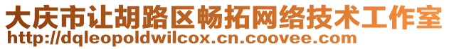 大慶市讓胡路區(qū)暢拓網(wǎng)絡(luò)技術(shù)工作室