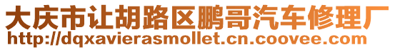 大慶市讓胡路區(qū)鵬哥汽車修理廠