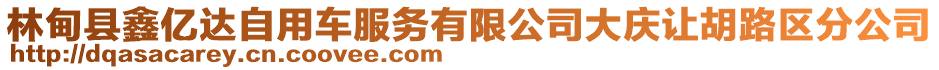 林甸縣鑫億達(dá)自用車服務(wù)有限公司大慶讓胡路區(qū)分公司