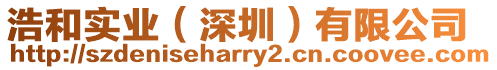 浩和實業(深圳)有限公司