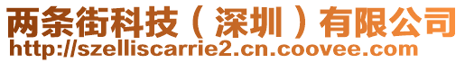 兩條街科技（深圳）有限公司