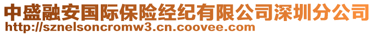 中盛融安國際保險經(jīng)紀有限公司深圳分公司