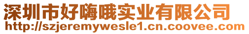 深圳市好嗨哦實業(yè)有限公司