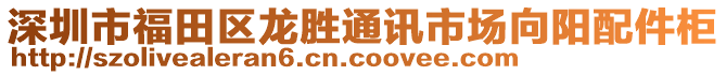 深圳市福田區(qū)龍勝通訊市場向陽配件柜