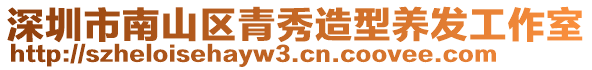 深圳市南山區(qū)青秀造型養(yǎng)發(fā)工作室