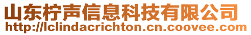 山東檸聲信息科技有限公司