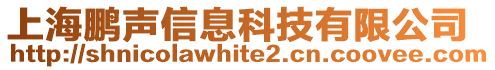 上海鵬聲信息科技有限公司