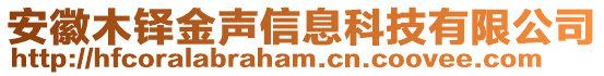 安徽木鐸金聲信息科技有限公司