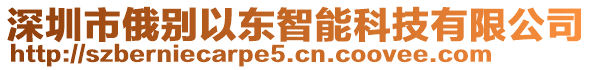 深圳市俄別以東智能科技有限公司