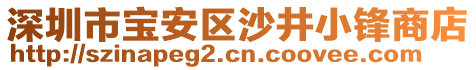 深圳市寶安區(qū)沙井小鋒商店