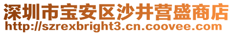 深圳市寶安區(qū)沙井營盛商店