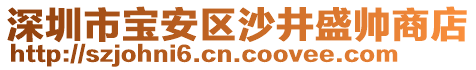 深圳市寶安區(qū)沙井盛帥商店