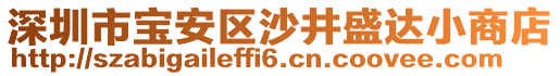 深圳市寶安區(qū)沙井盛達(dá)小商店